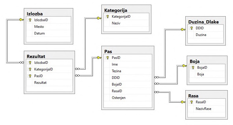 Slika baze iz zadatka B1 sa maturskog 2021